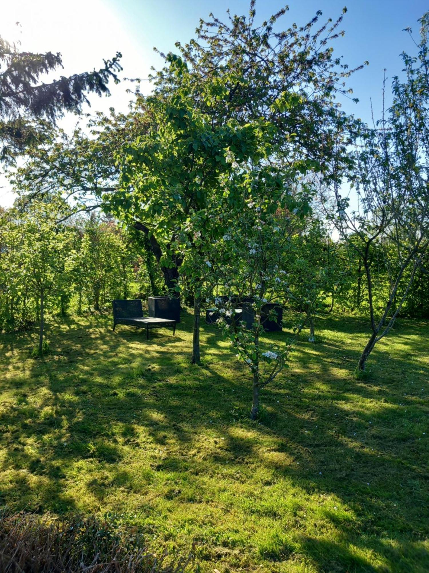 Les Oliviers De La Baie Gite- Le Relais De La Baie Millencourt-en-Ponthieu Экстерьер фото