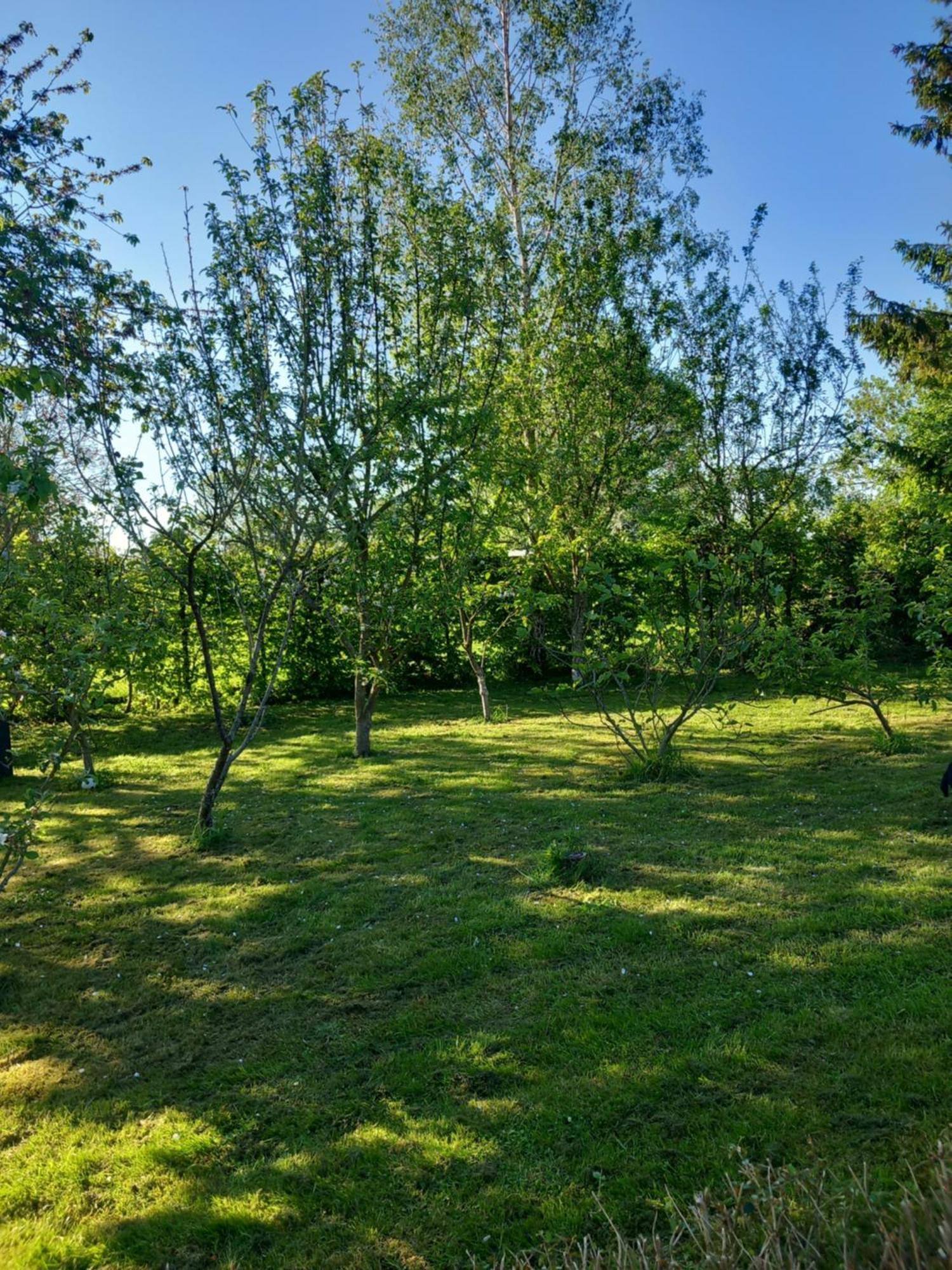 Les Oliviers De La Baie Gite- Le Relais De La Baie Millencourt-en-Ponthieu Экстерьер фото
